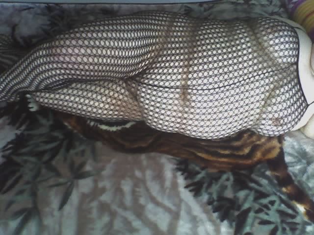 Paar verwöhnt dich - Paare - falkenberg