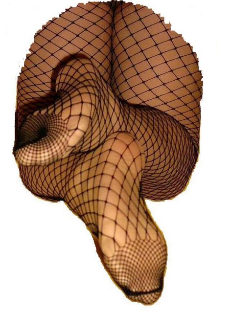 Wie Du es wünscht; duftende Strumpfhose, Strapse... usw. - Getragene Waesche - nähe Hannover